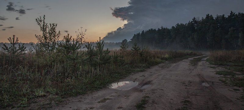 купавна., подмосковье Осенняя роса фото превью