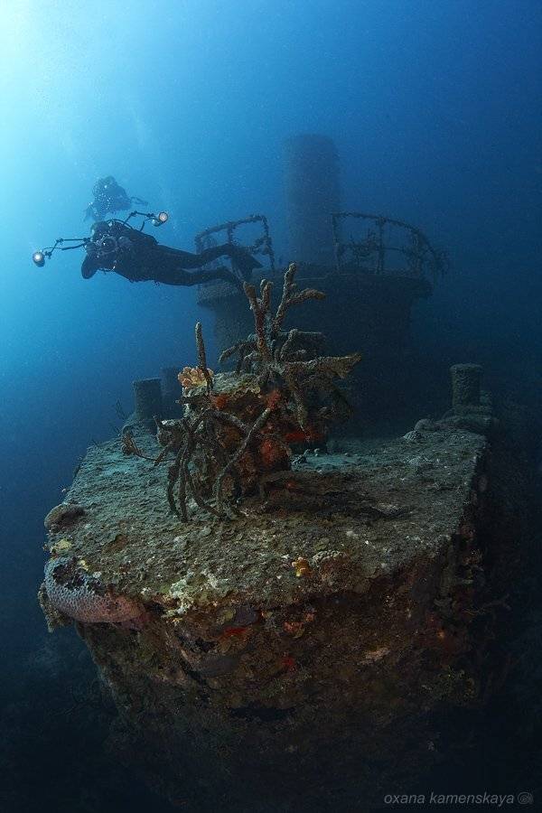 , Оксана Каменская