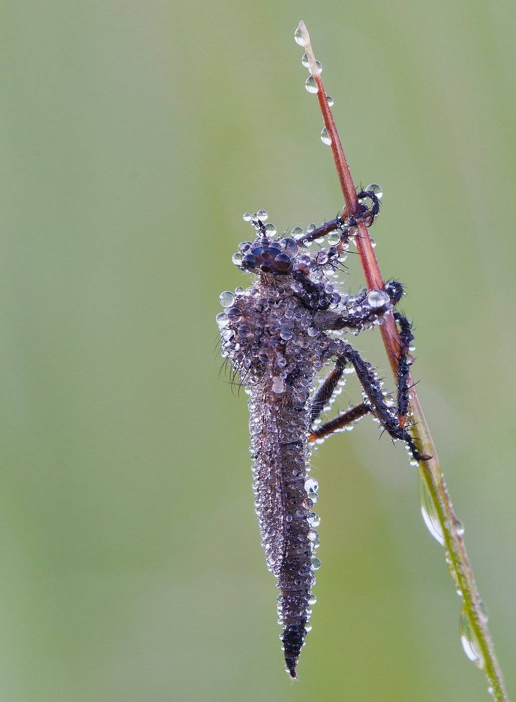 , Андрей Канышев