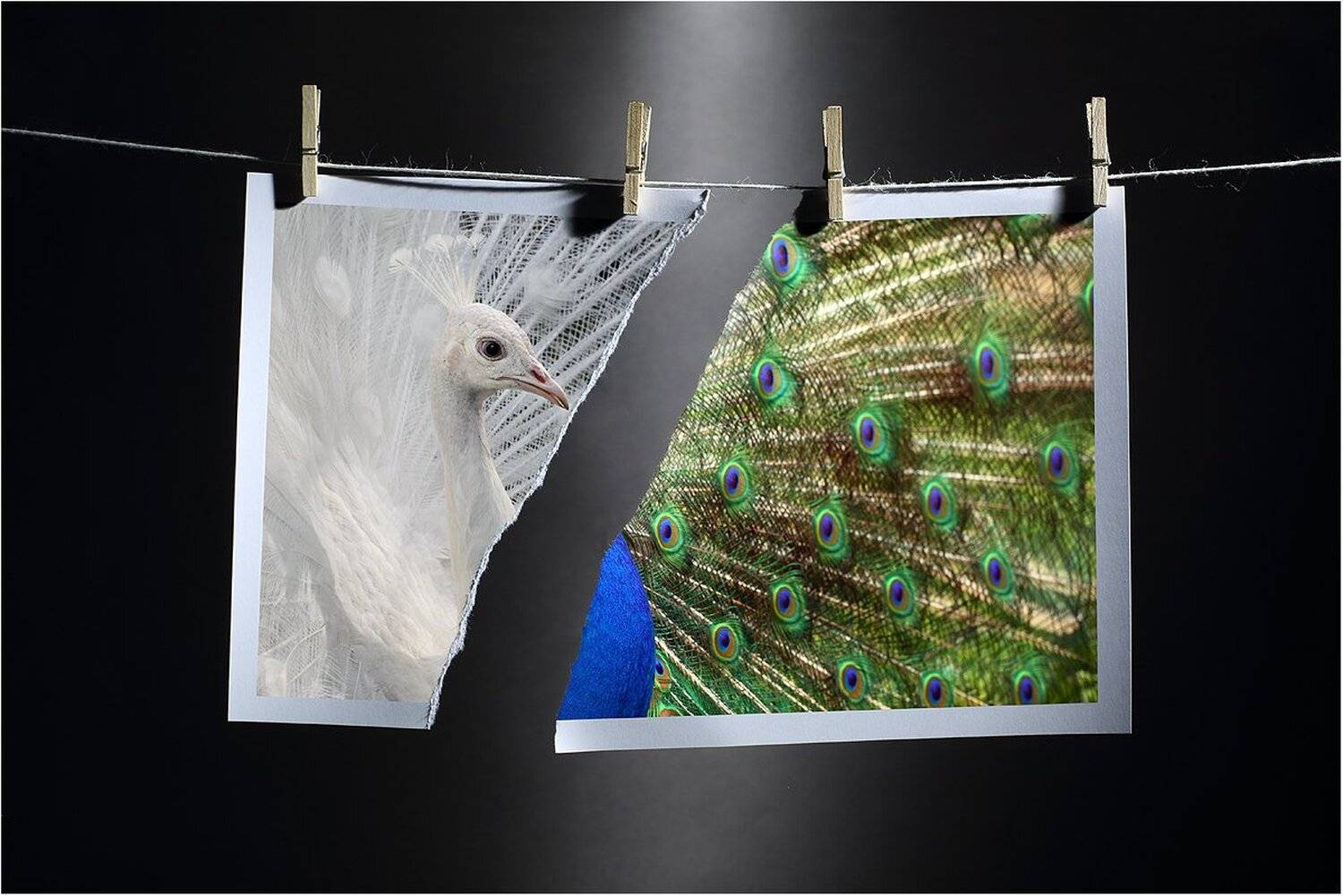 , Вика Иванова