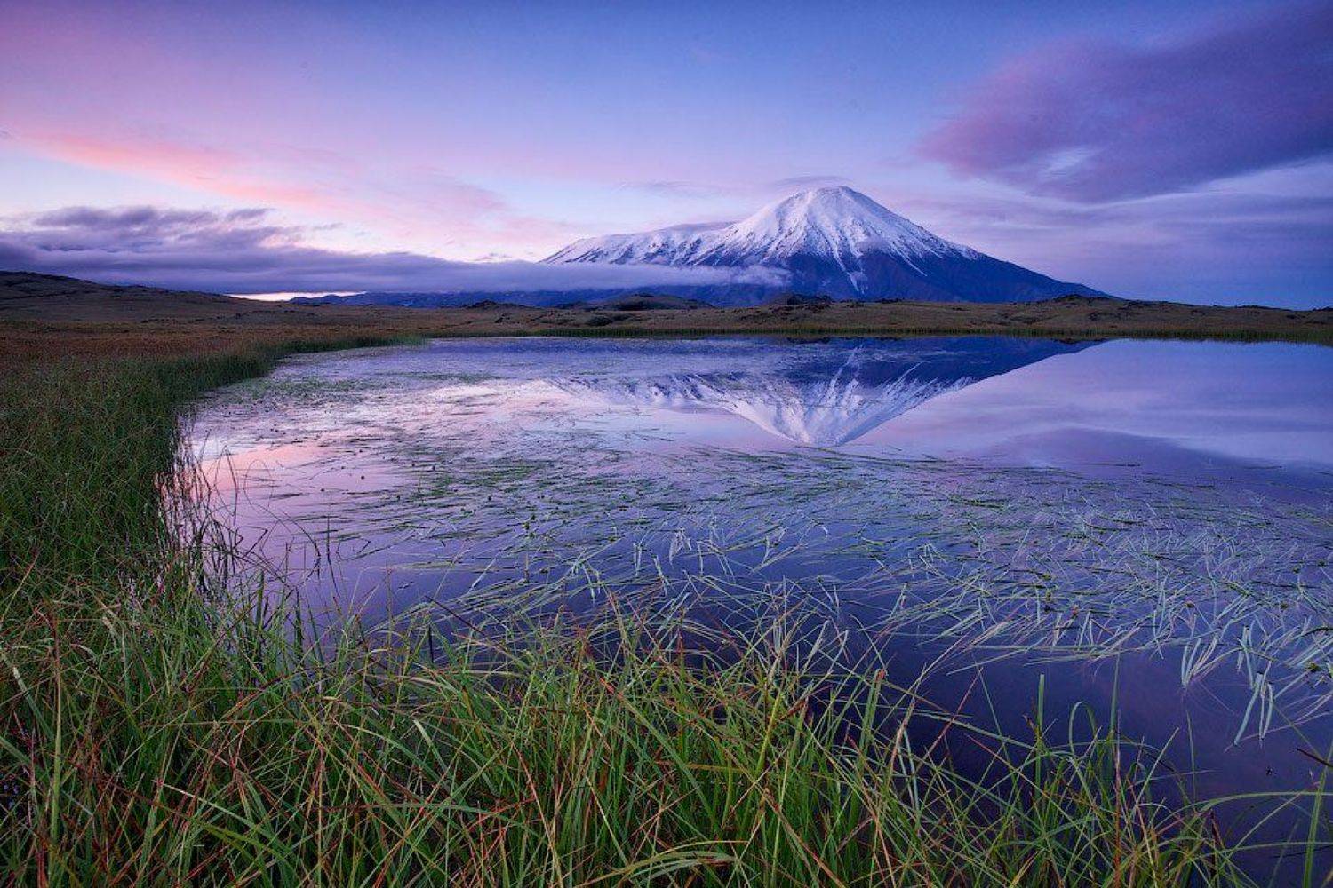 , Алексей Харитонов