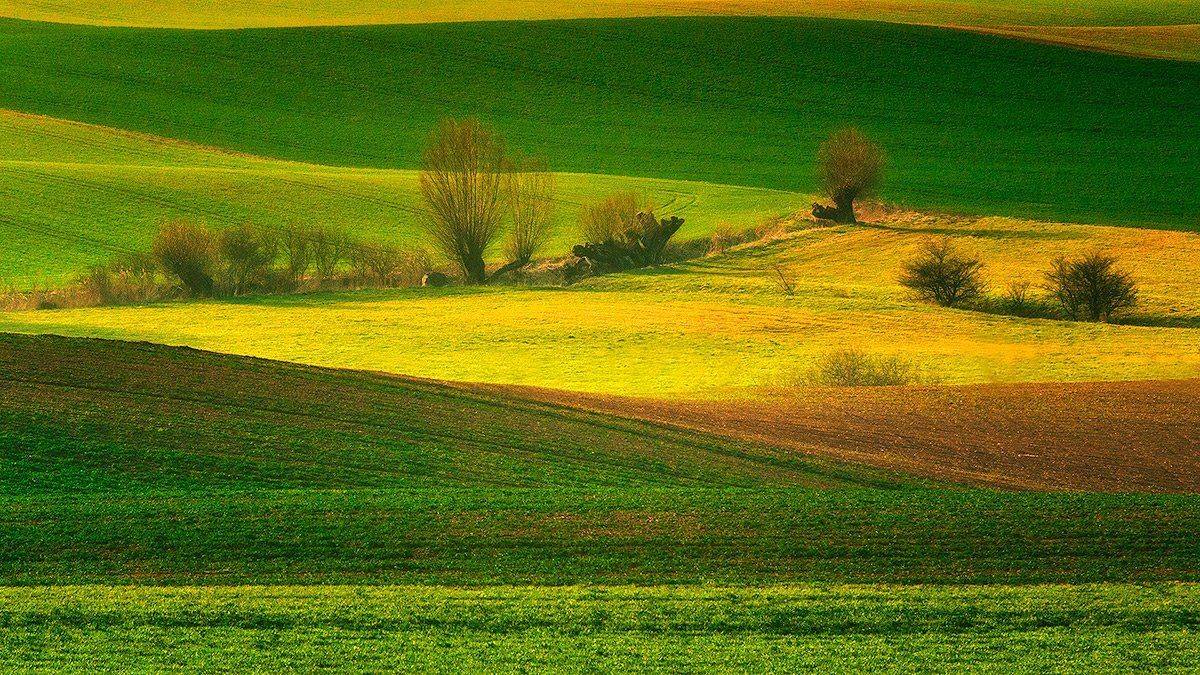 , Wojtek Kapuściński