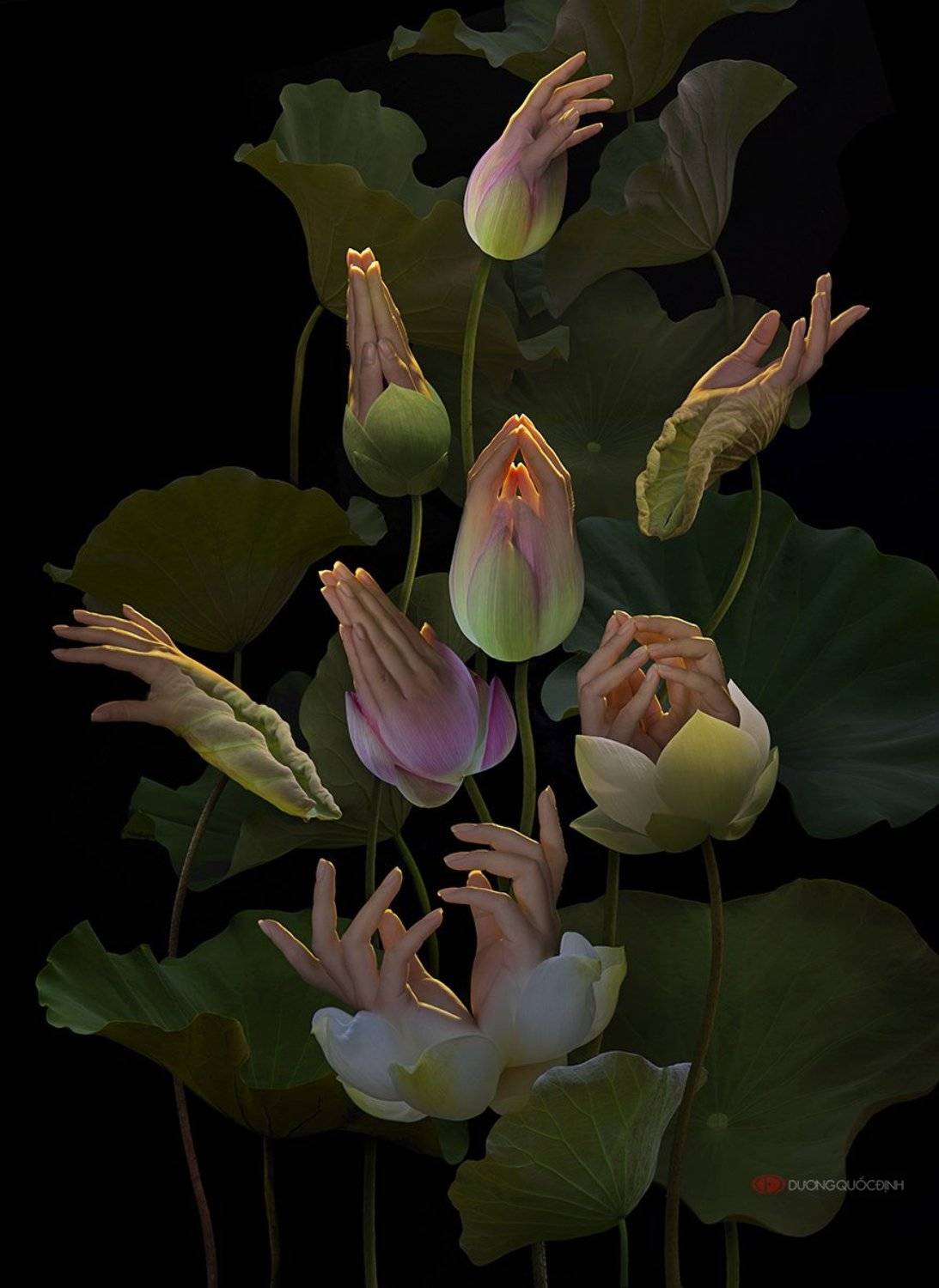 , duong quoc dinh