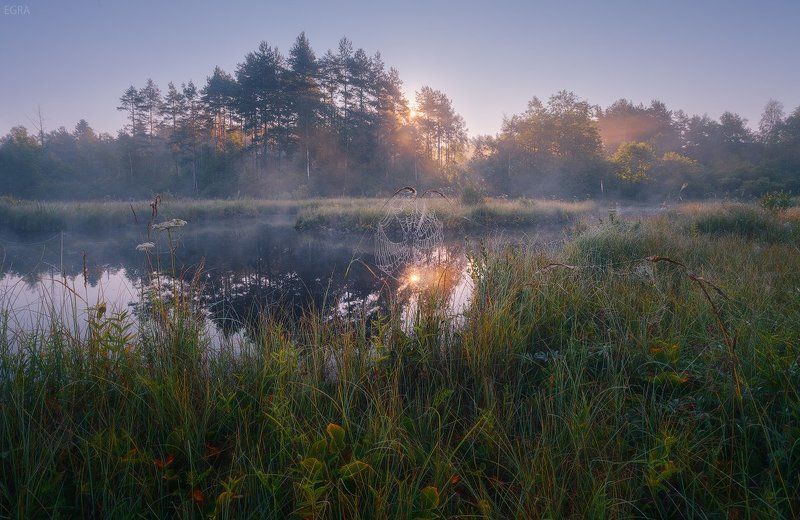 болото, кавголовское, туман Поймал ! фото превью