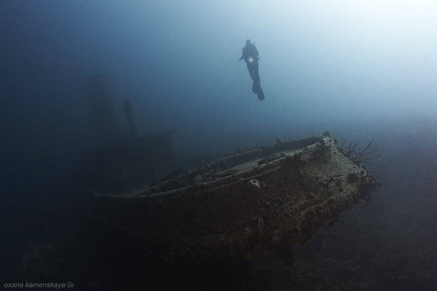 , Оксана Каменская