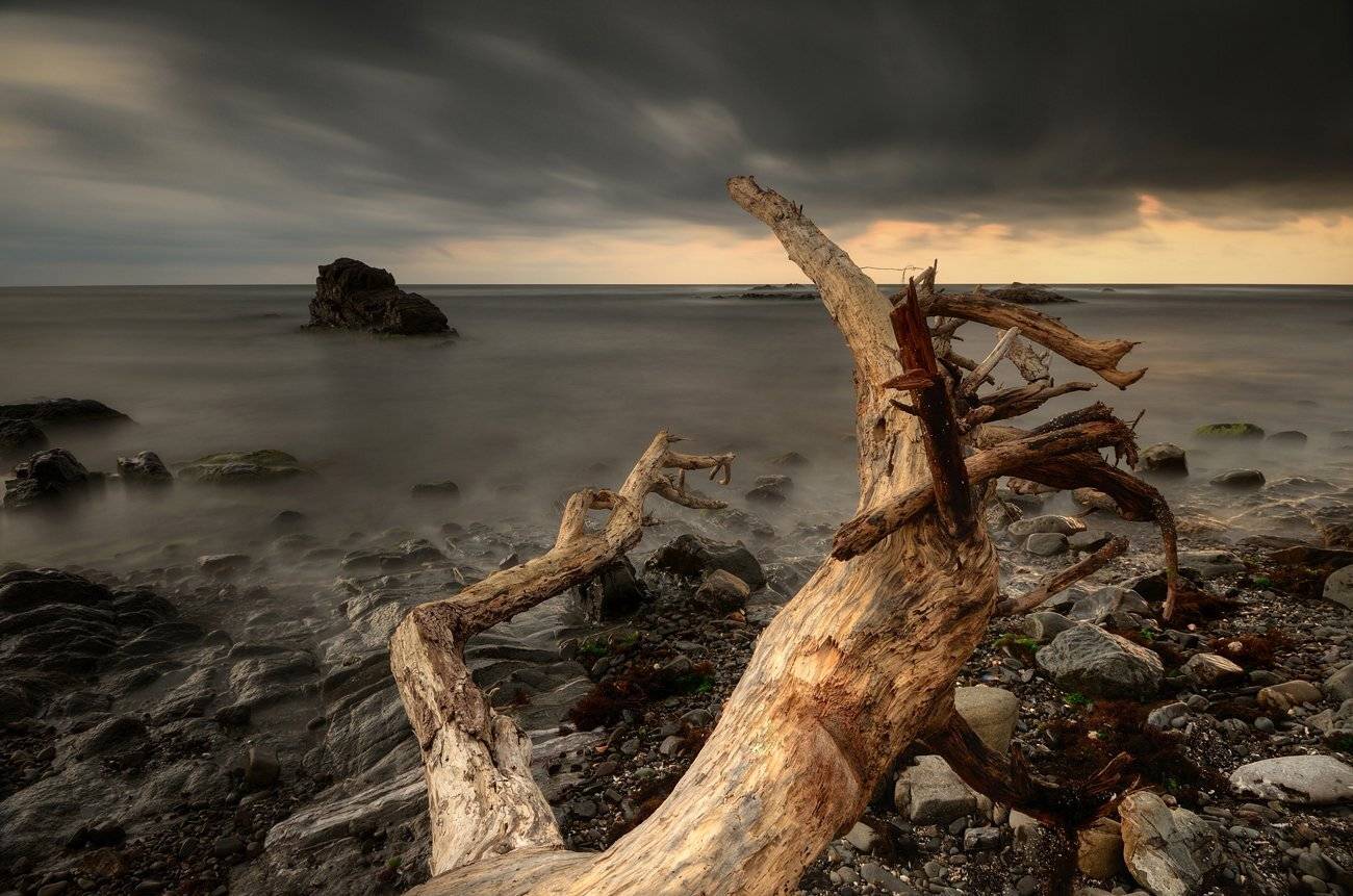 , Румен Паисиев