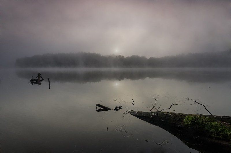 Foggy morning фото превью