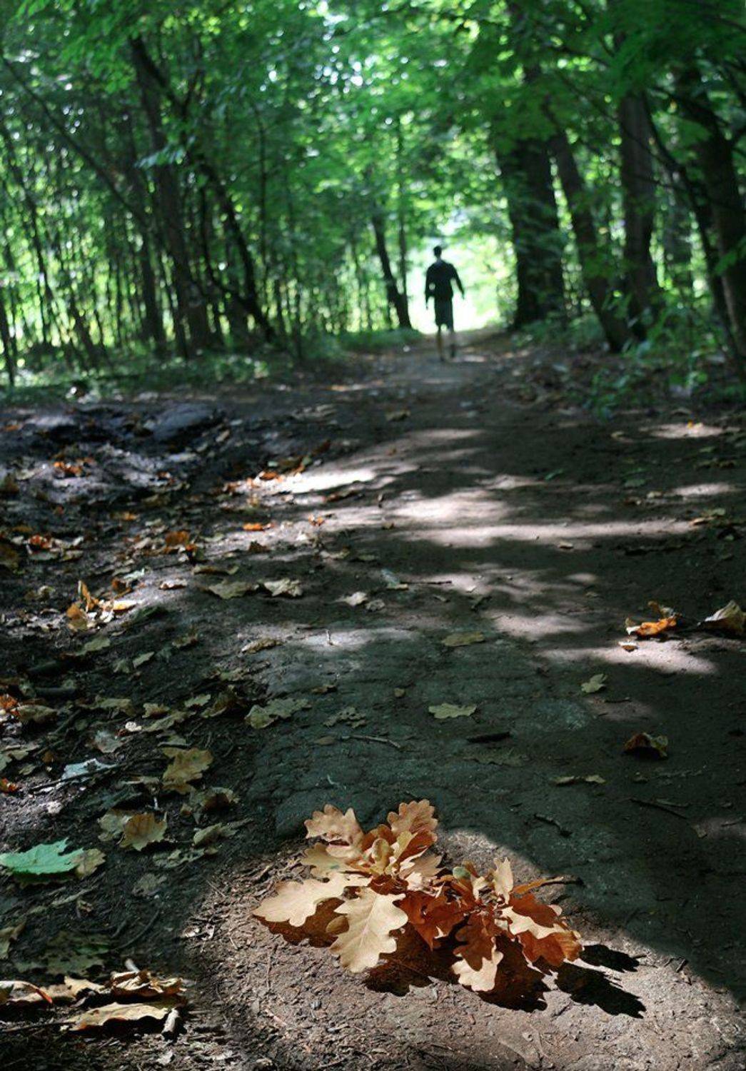 , Валерия Струнникова