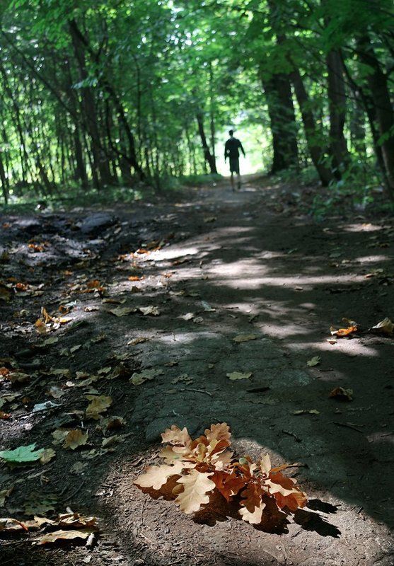 На прогулке фото превью