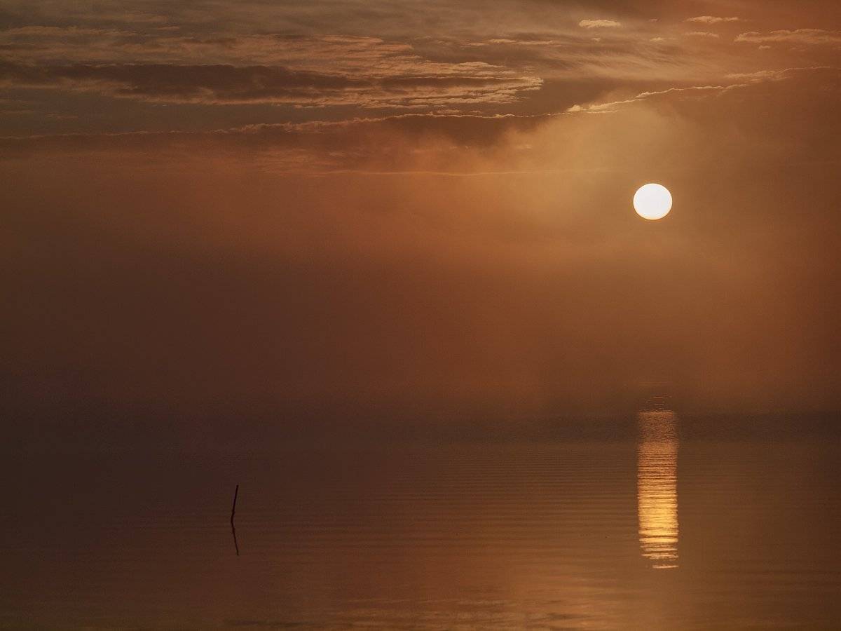 , Владимир Перепечаев