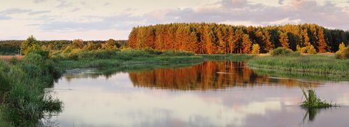 В тишине над Неманом