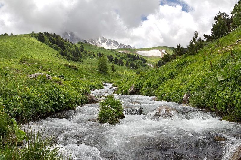 Цица фото превью