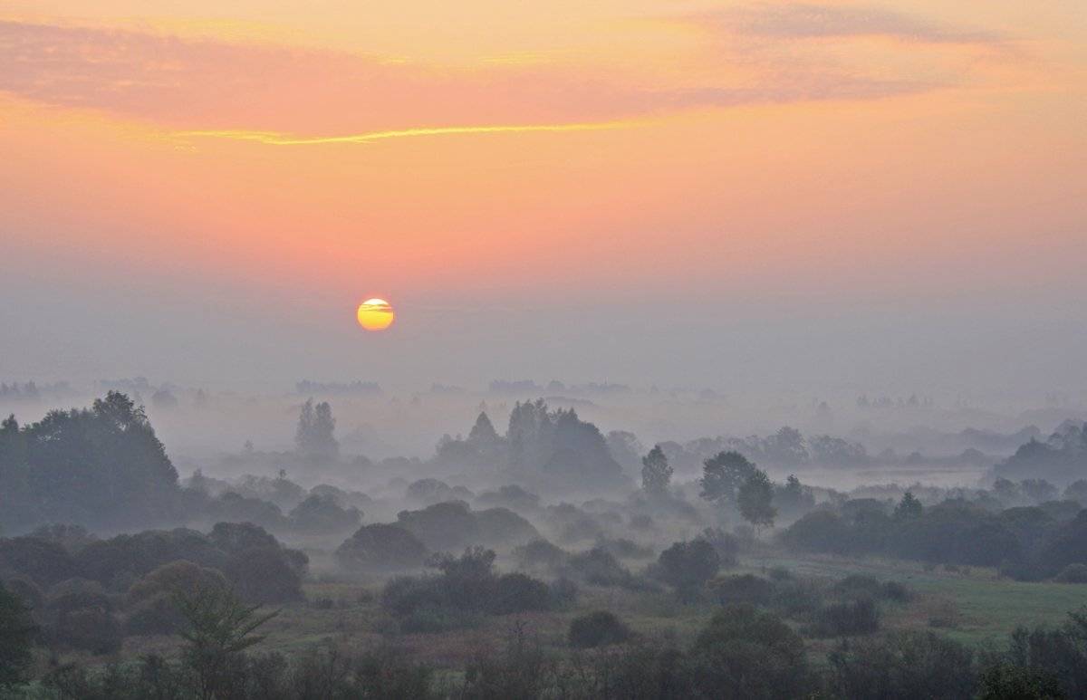 , Валерий Кондратов