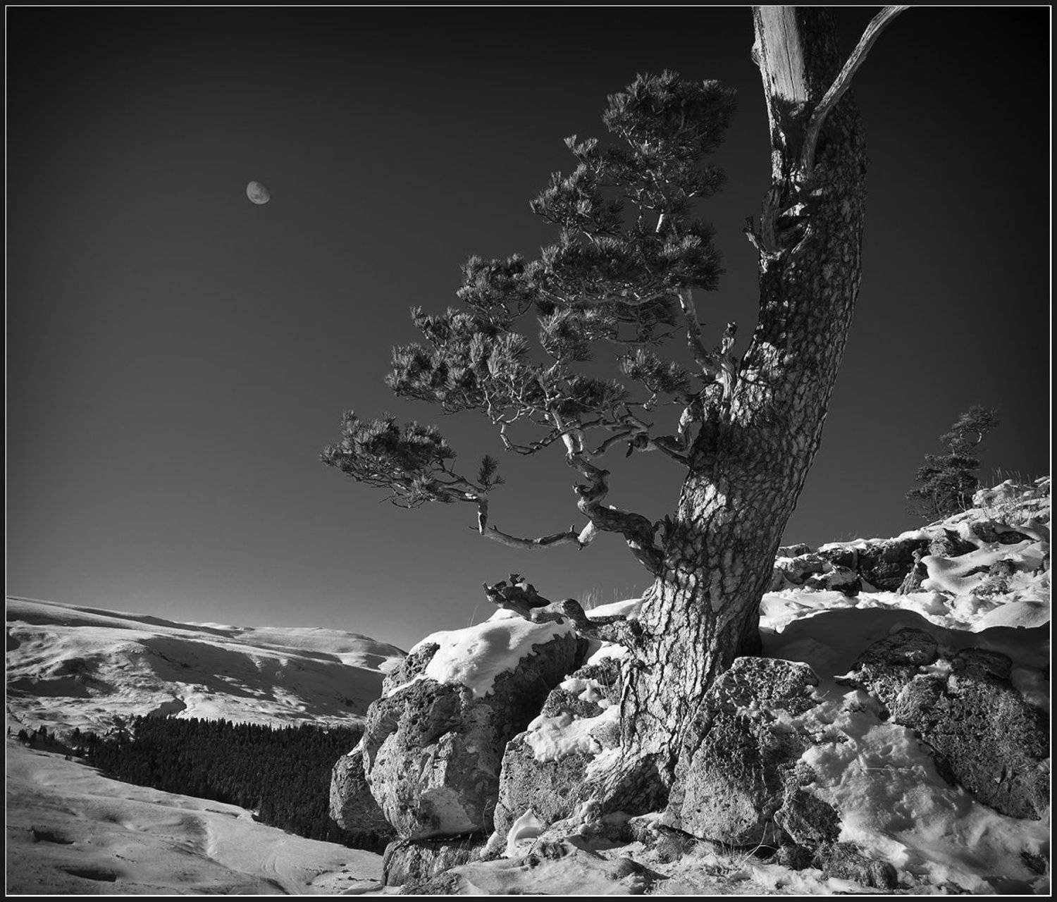 , Олег Дунаев