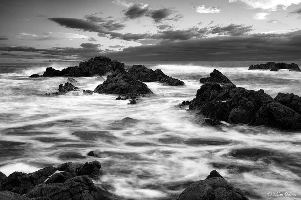 , Милен Добрев