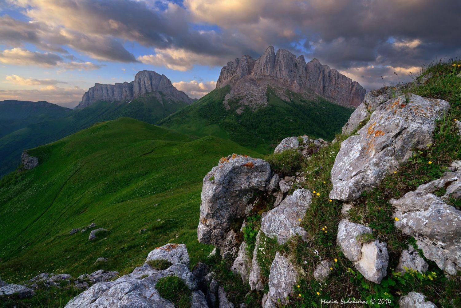 , Максим Евдокимов