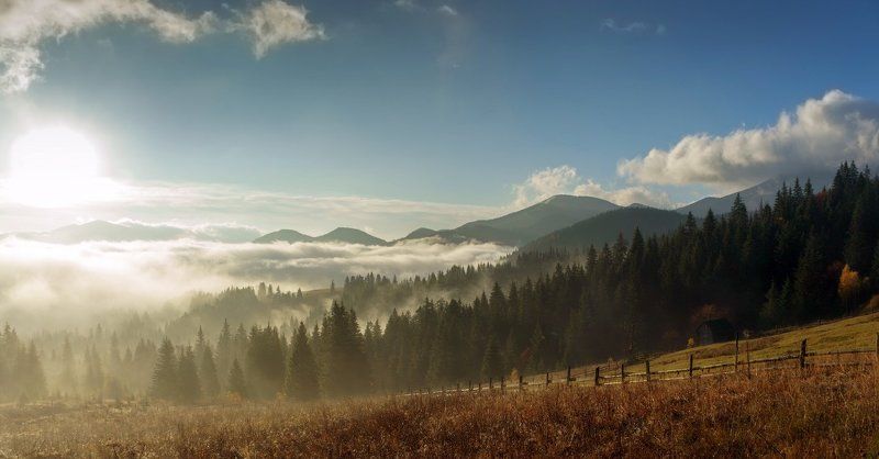 Борьба солнца с туманом. фото превью