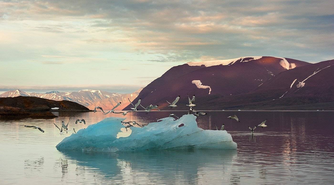 , Андрей Ведерников