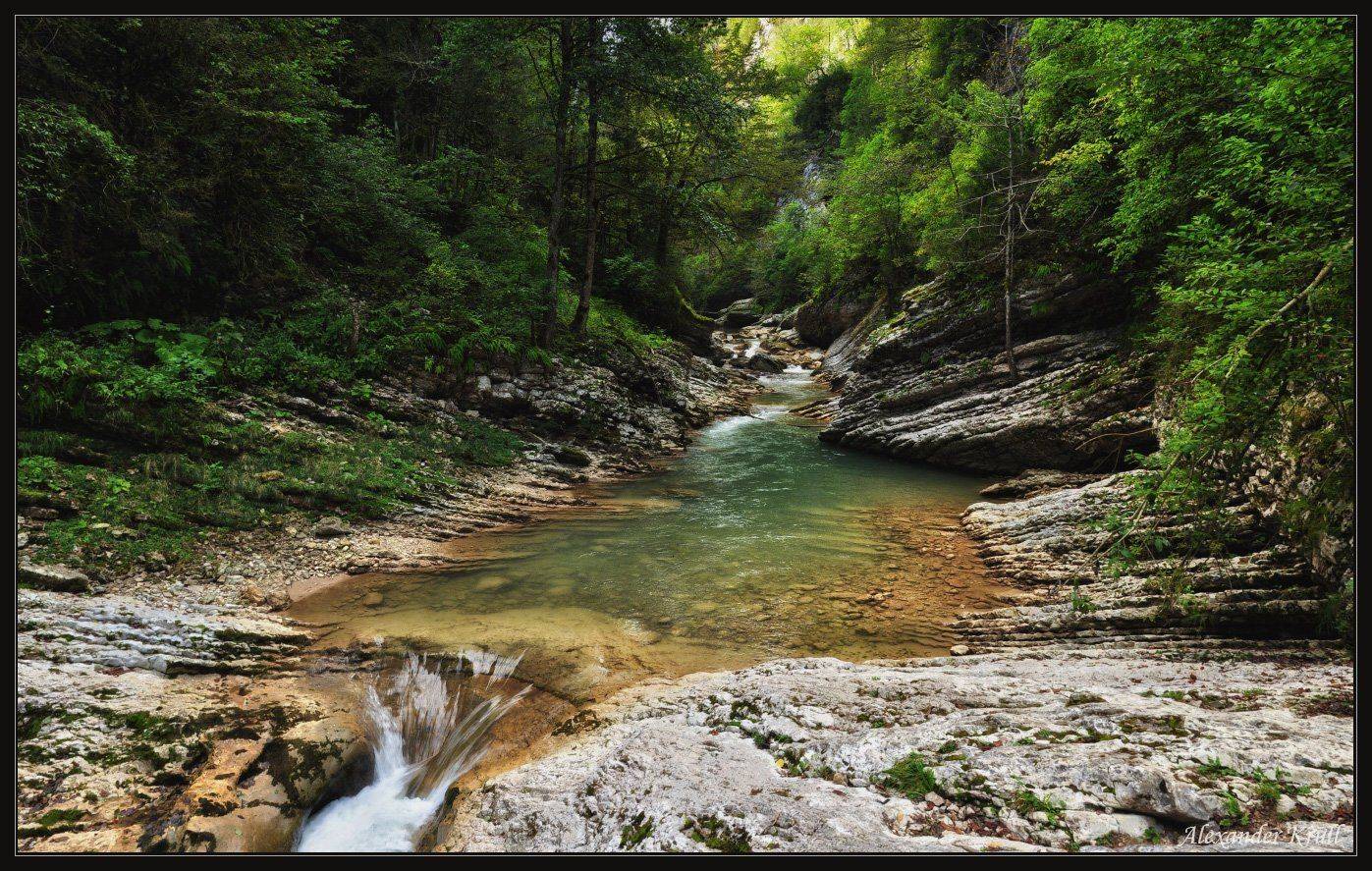 курджипс, Александр Круль