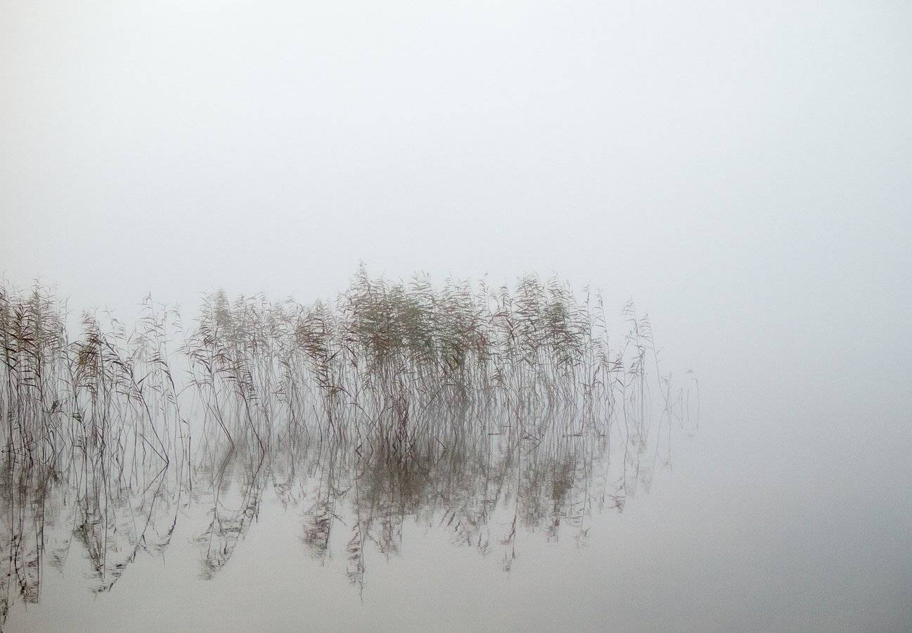 , Владимир Перепечаев