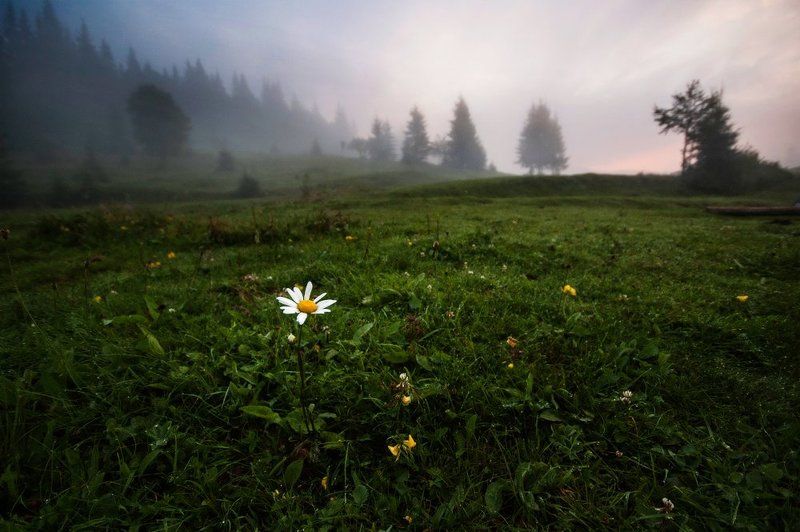 * * * фото превью