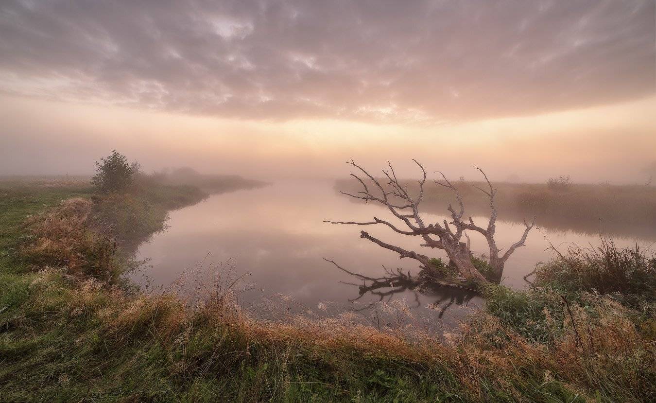 , Вейзе Максим