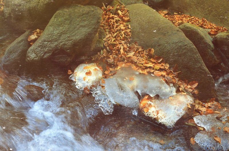 Frozen Together фото превью