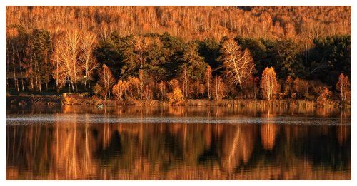Осень в Зенковском парке