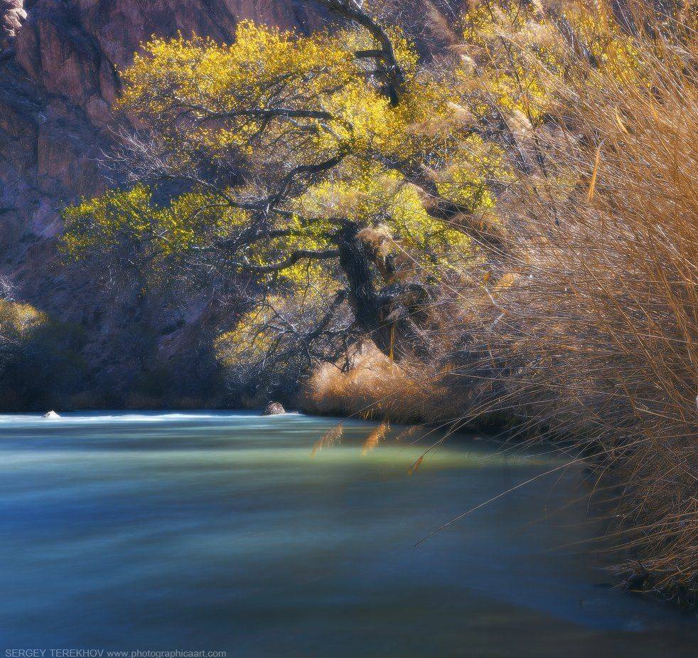 Казахстан, Чарын, Сергей Теректы