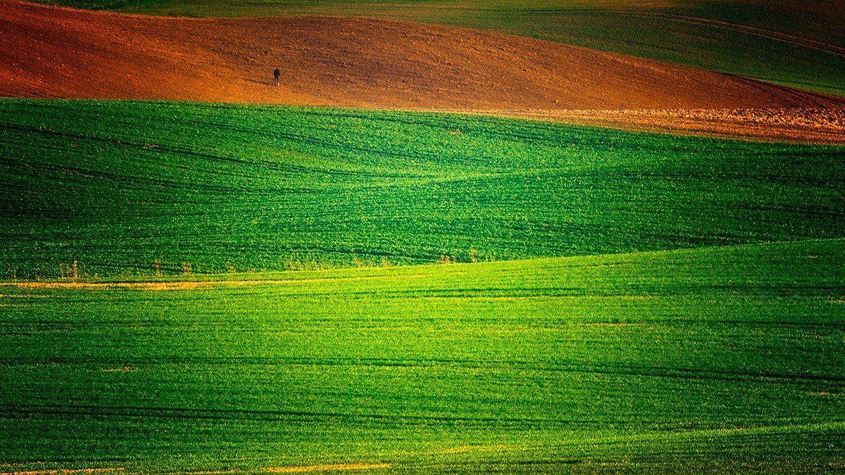 , Wojtek Kapuściński