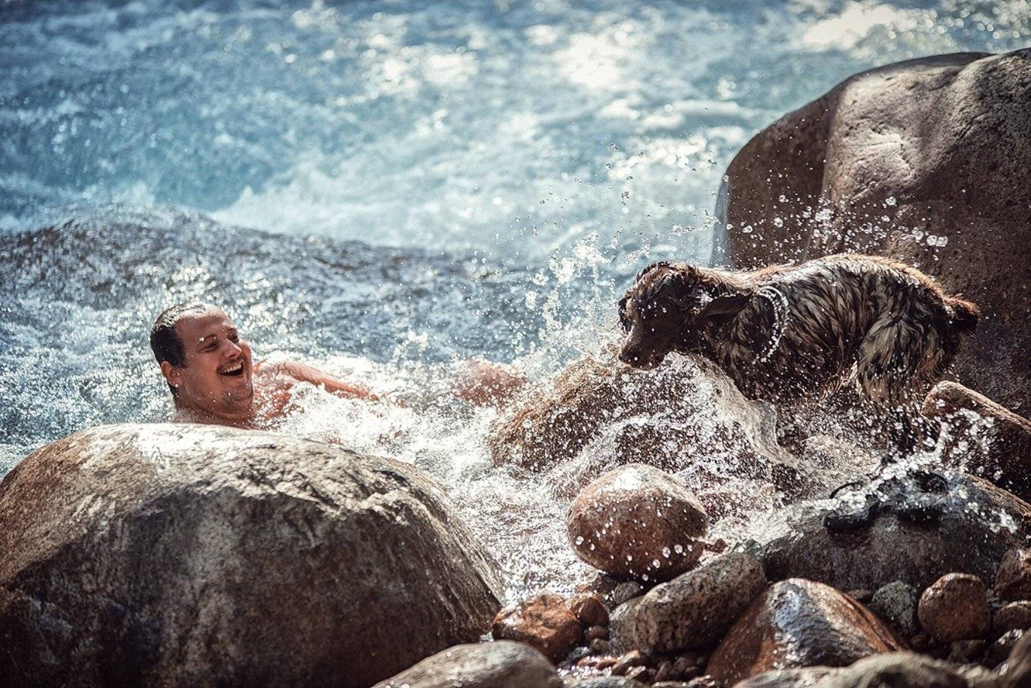 Брызги, Купание, Купания, Речка, Собака, Карпов Александр