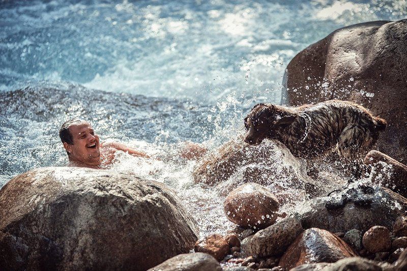 Брызги, Купание, Купания, Речка, Собака  фото превью