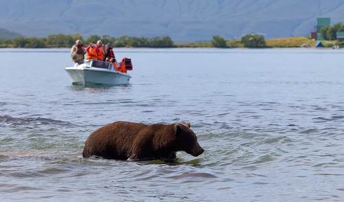 Как же они мне надоели...