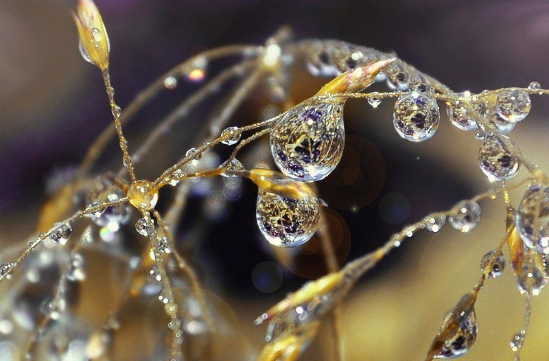 * фото превью