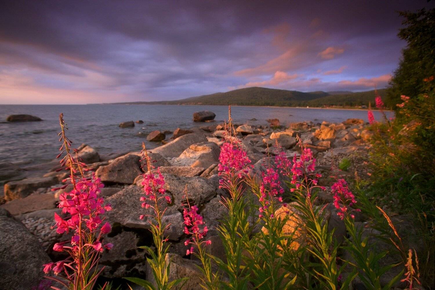 , Никифоров Егор