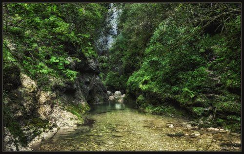 В одном затерянном мире...