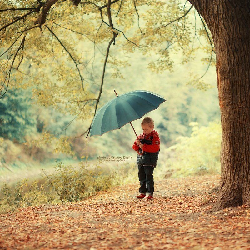 осень пришла фото превью