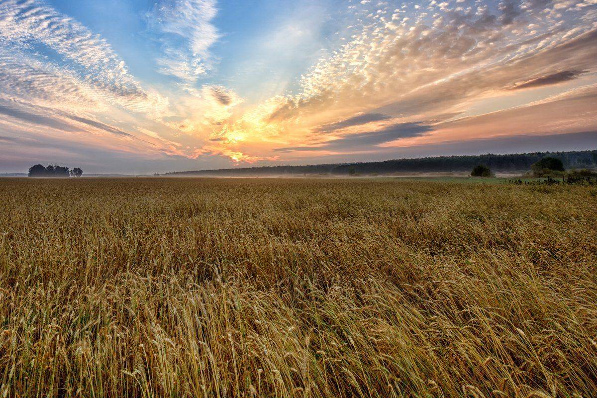 , Сергей Евдокимов