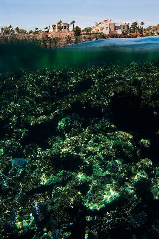 Egypt фото превью