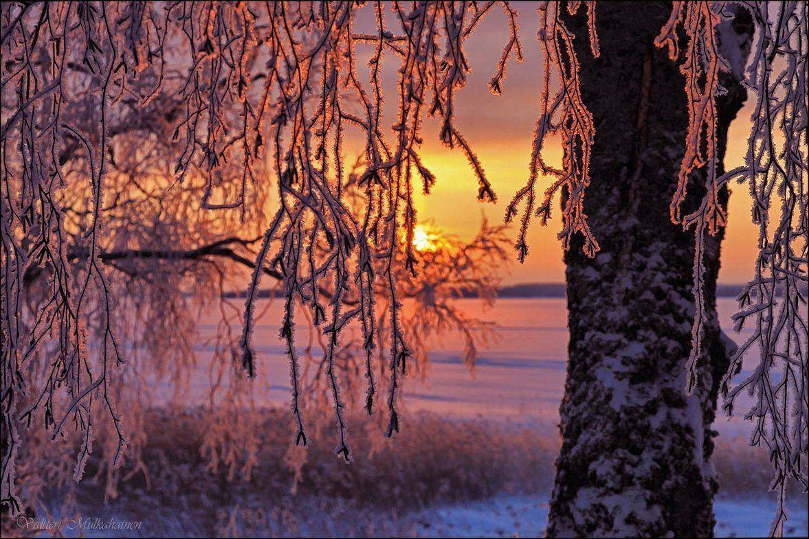 , Valtteri Mulkahainen