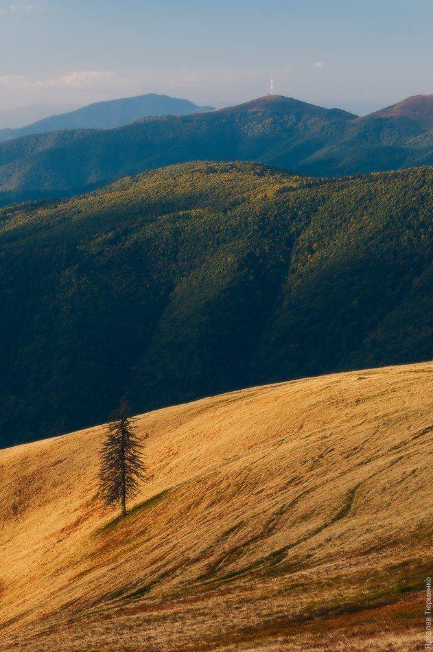 , Ярослав Тюрменко (Jaremi)