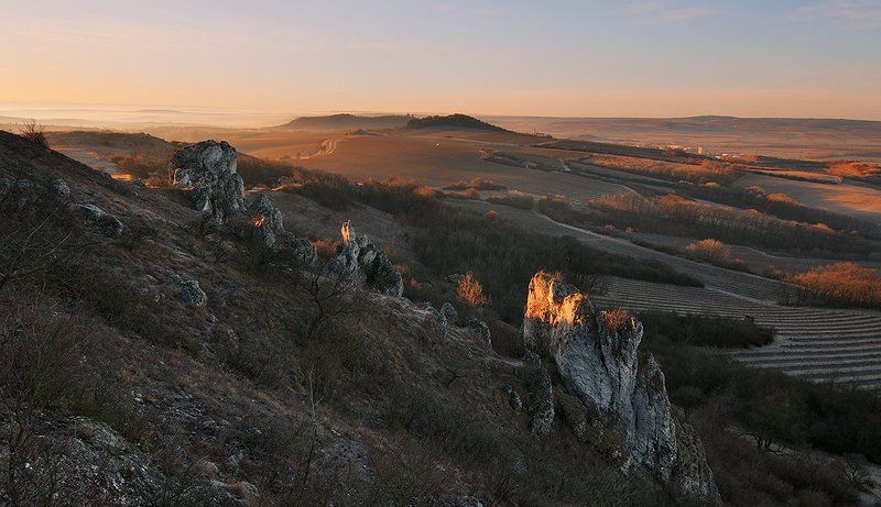 cold morning фото превью