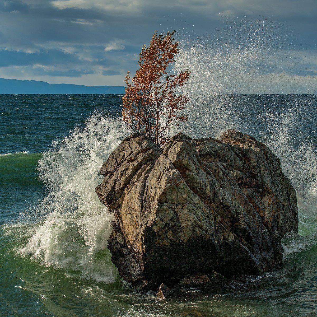 , Владимир Сковородников