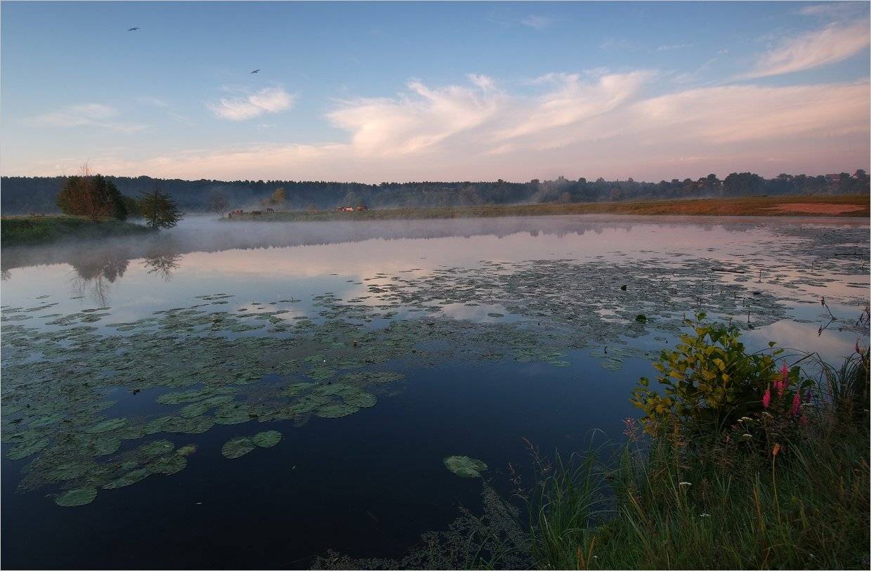 , Николай Шахманцир