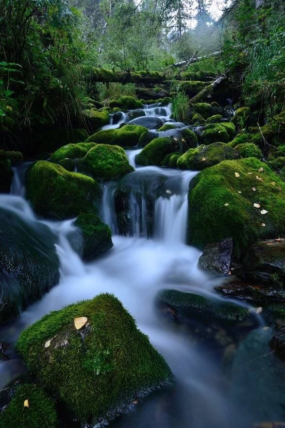 , Михаил Зверев