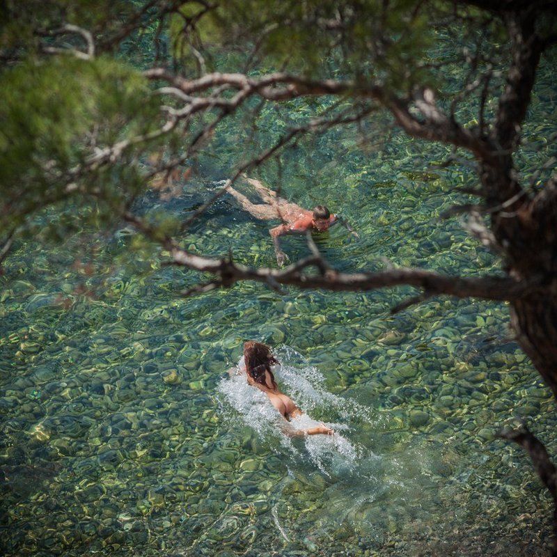 Дао фото превью