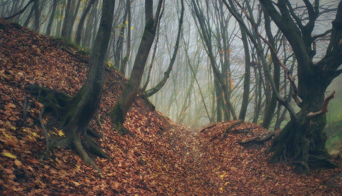 , Михаил  Пилипенко