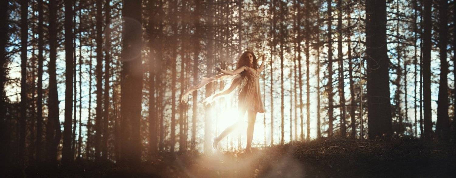 , Александр Марков