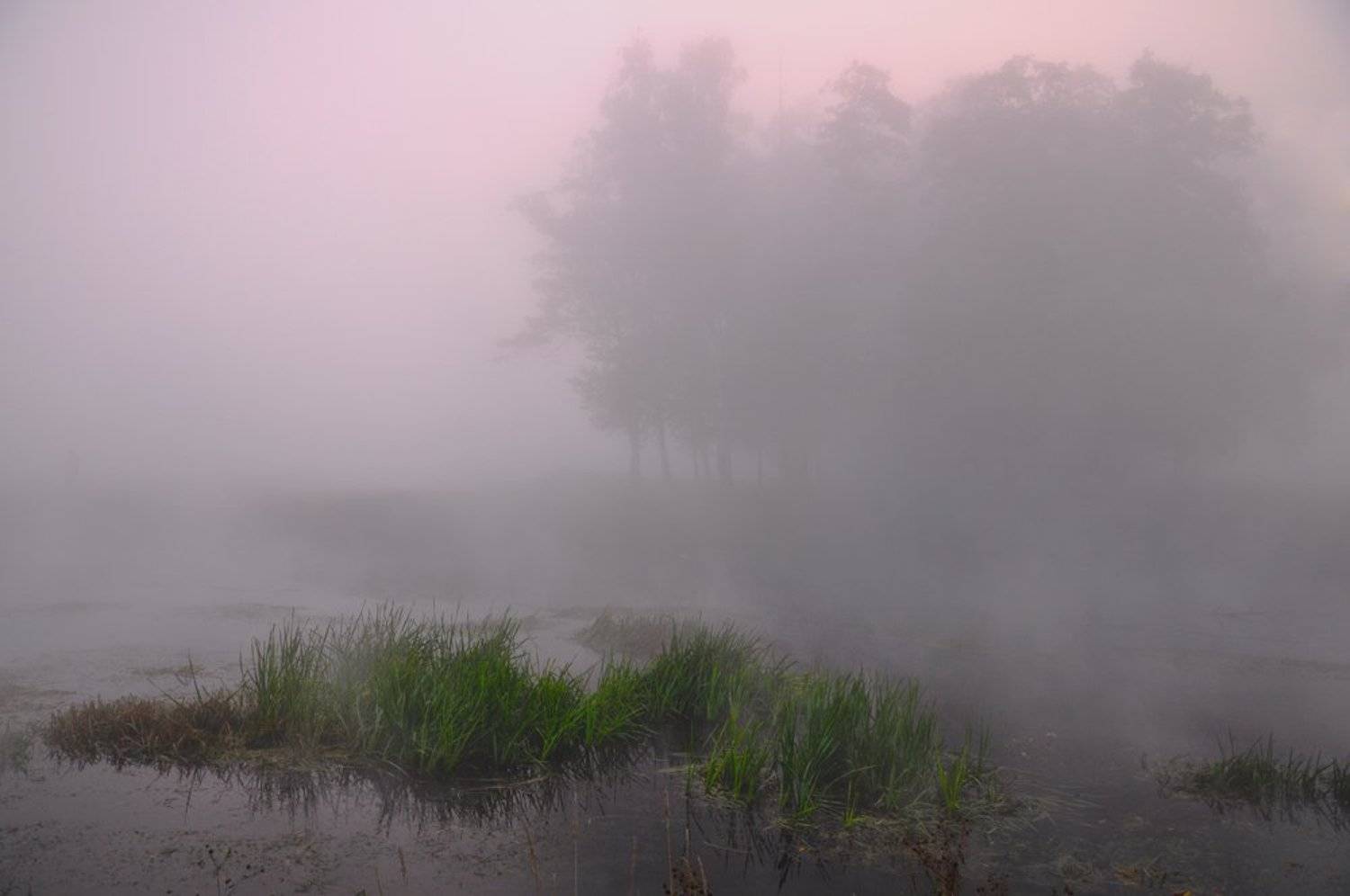 , Ефремов Юрий