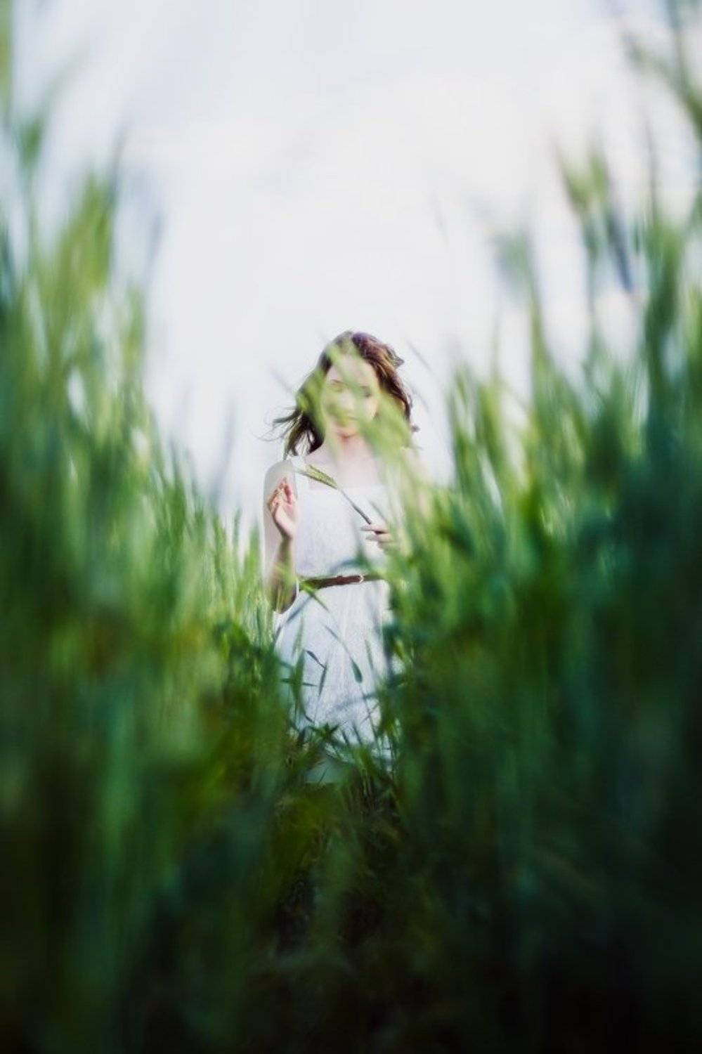 , Александр Сергиенко